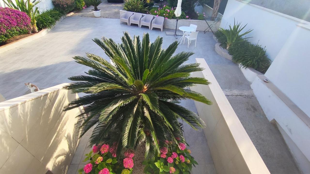 Seagull Apartments - Front And Sea View & Airport Bari Exterior photo